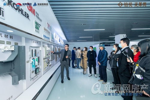 鉑悅靈犀灣 透明工廠首鑒青島 西海岸一線山海大宅配套齊全